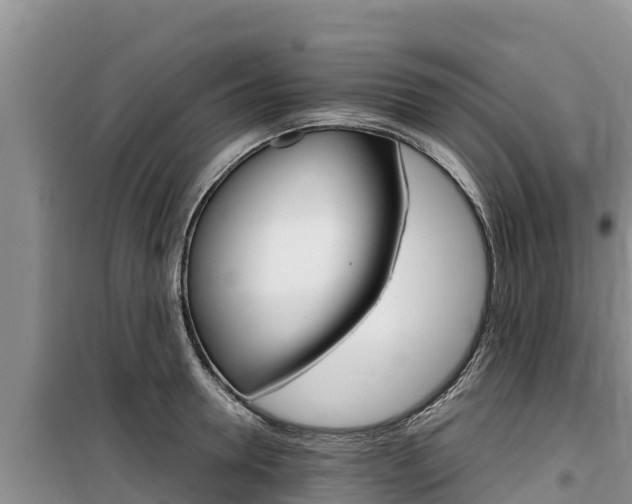 X0000100200946200805300744