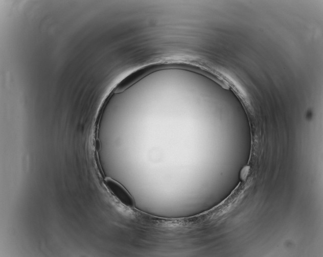X0000100200948200805300744