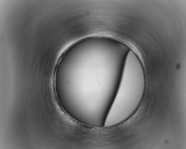 X0000100200952200805300744