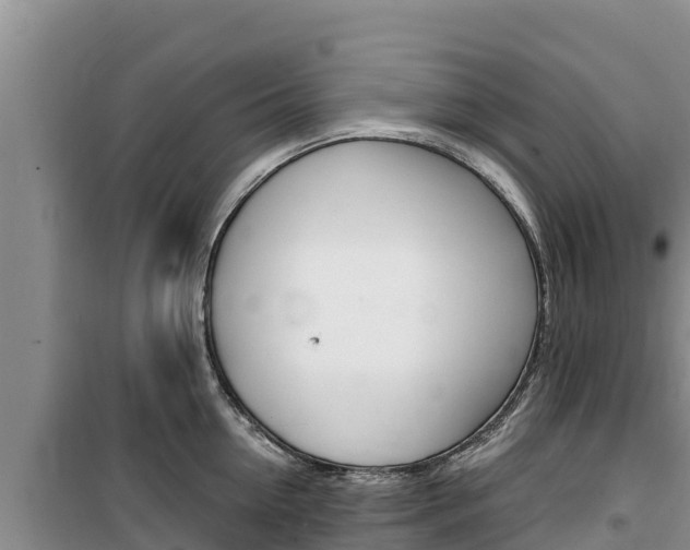 X0000100200954200805300744