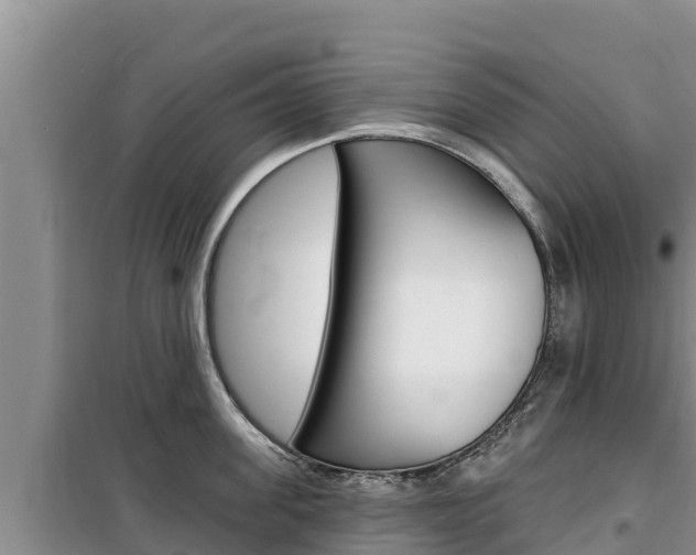 X0000100200955200805300744