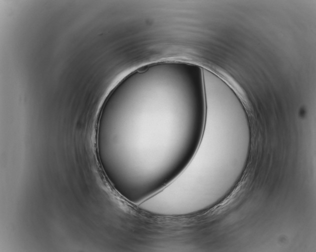 X0000100200956200805300744