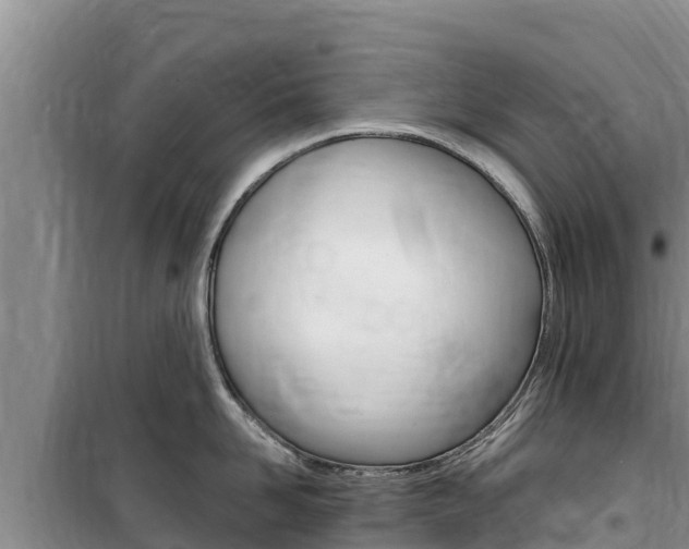 X0000100200958200805300744