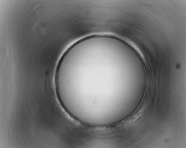 X0000100200959200805300744