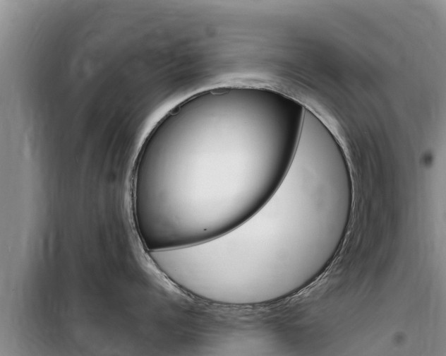 X0000100200960200805300744