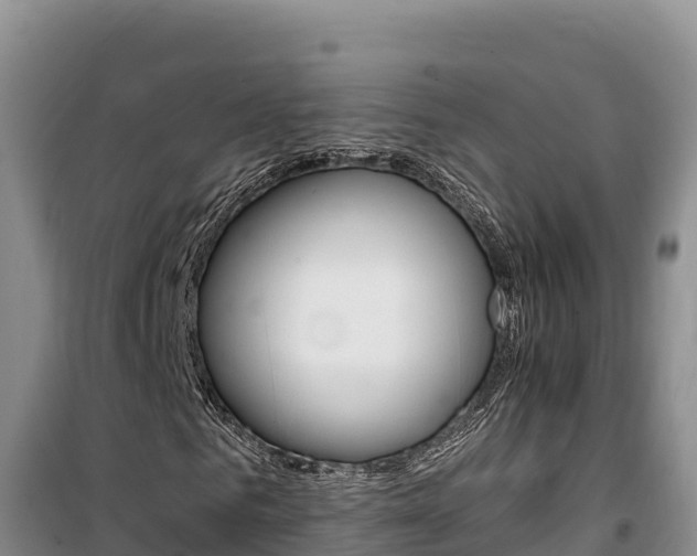 X0000100200961200805300743