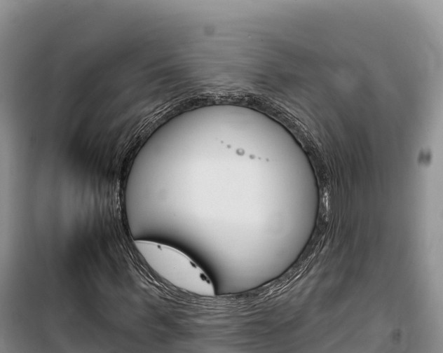 X0000100200963200805300743