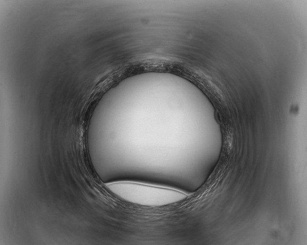 X0000100200964200805300743