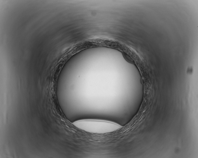 X0000100200965200805300743