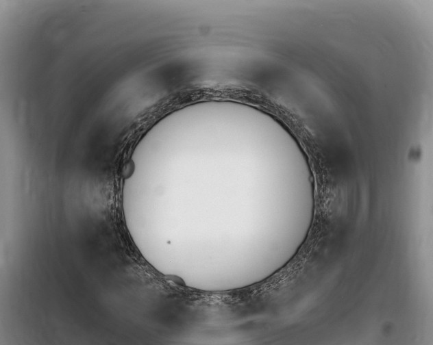 X0000100200966200805300743