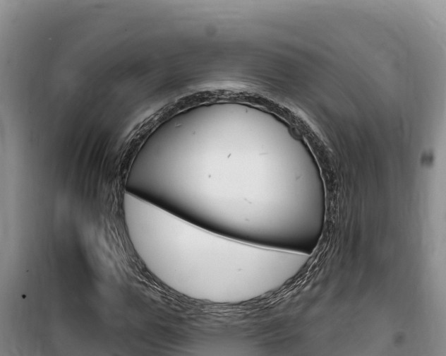 X0000100200967200805300743