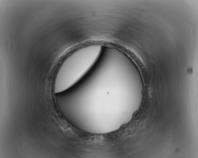 X0000100200968200805300743