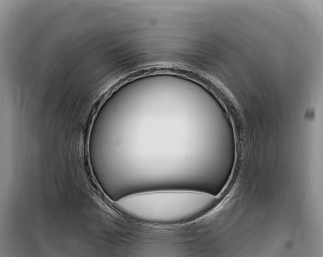 X0000100200969200805300743