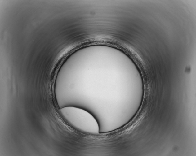 X0000100200970200805300743