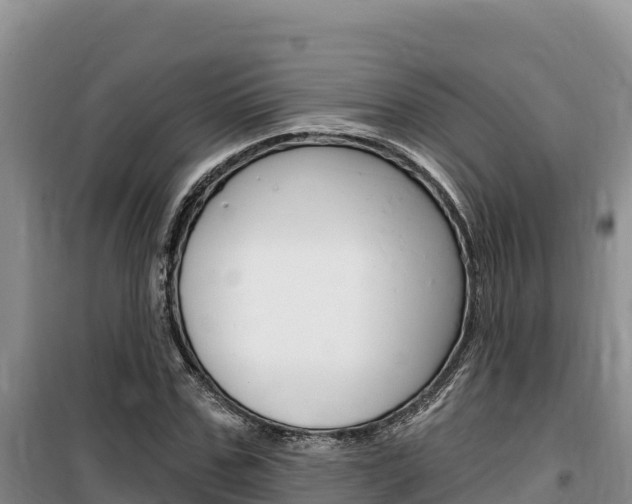 X0000100200971200805300743
