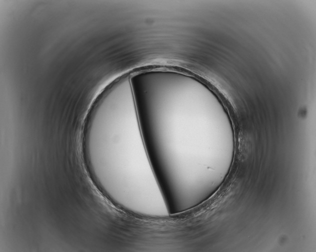 X0000100200972200805300743