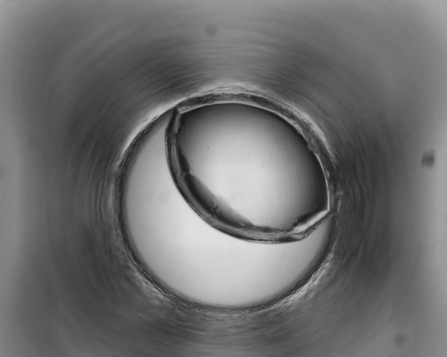 X0000100200973200805300743