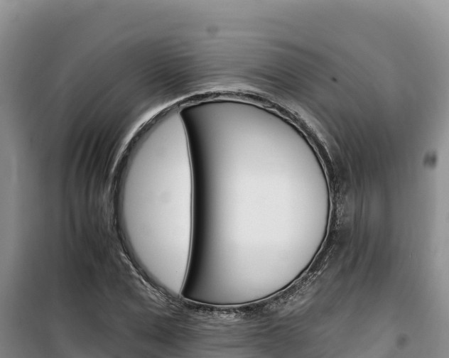 X0000100200975200805300743