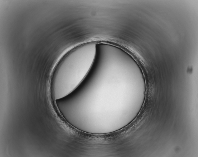 X0000100200976200805300743