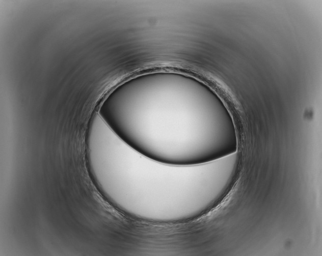 X0000100200977200805300743