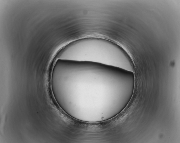 X0000100200979200805300743