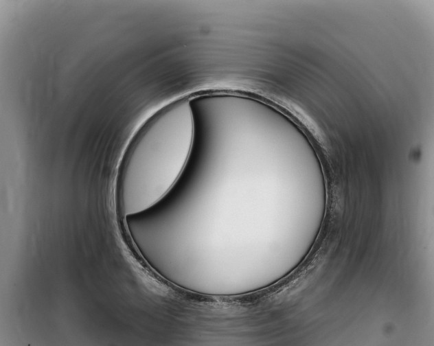 X0000100200980200805300743