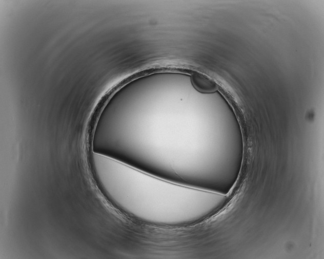 X0000100200981200805300743