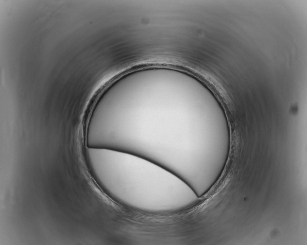 X0000100200982200805300743