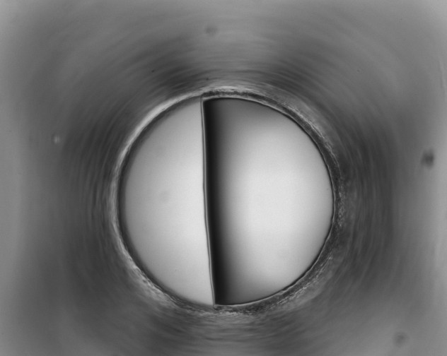 X0000100200984200805300743
