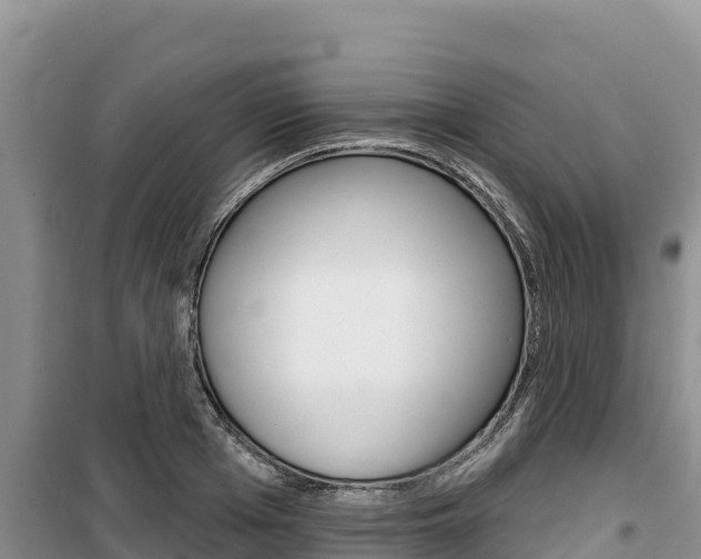 X0000100200985200805300743