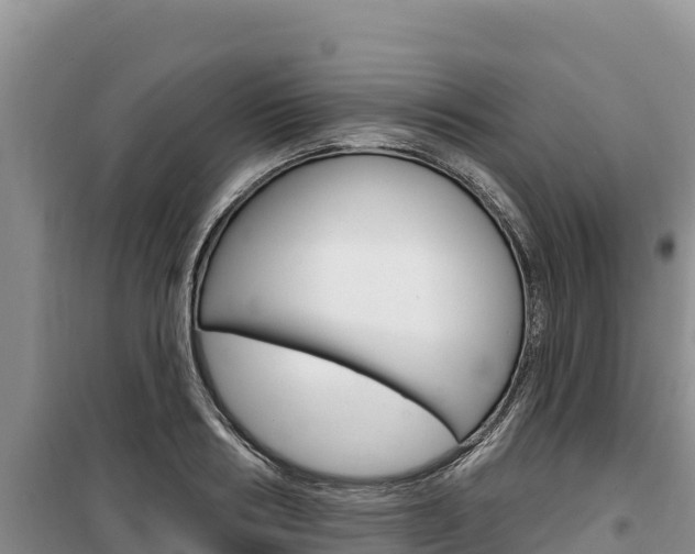 X0000100200986200805300743
