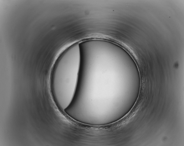 X0000100200987200805300743