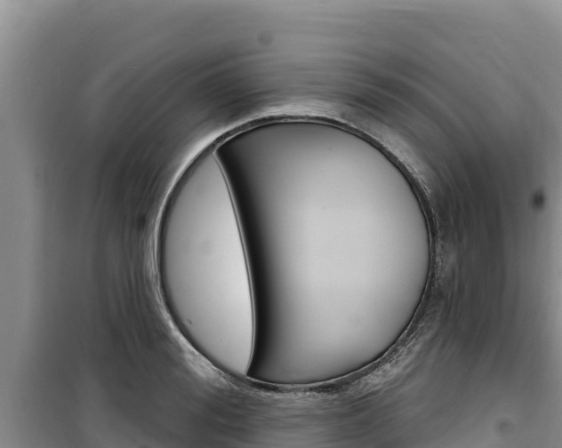 X0000100200988200805300743