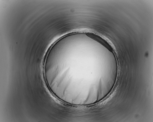 X0000100200989200805300743
