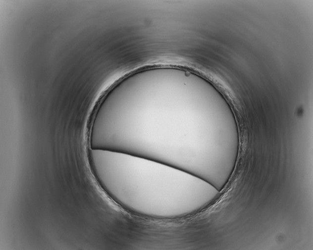 X0000100200990200805300743