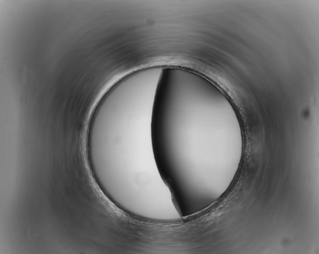 X0000100200992200805300743