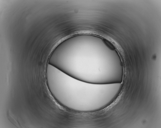 X0000100200993200805300743