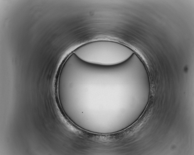 X0000100200995200805300743