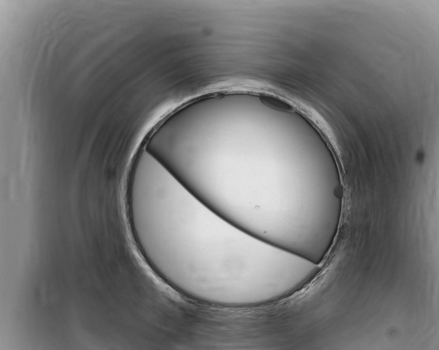 X0000100200997200805300743