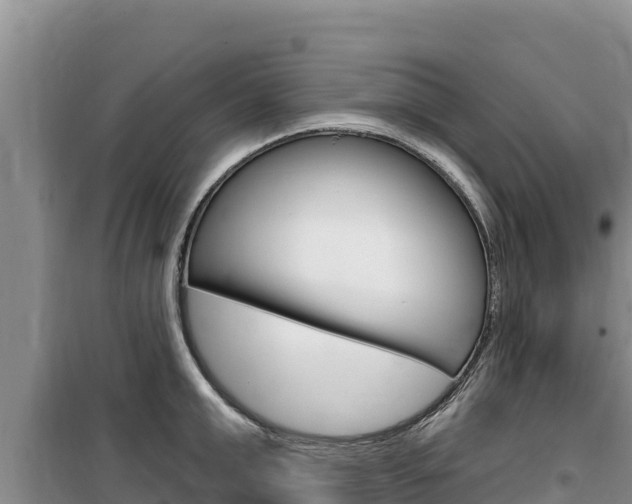X0000100200999200805300743