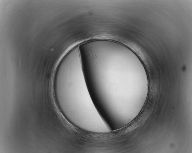 X0000100201000200805300743