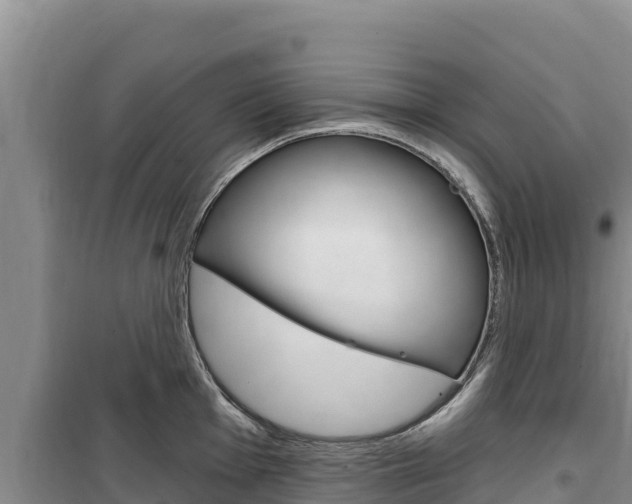 X0000100201001200805300743