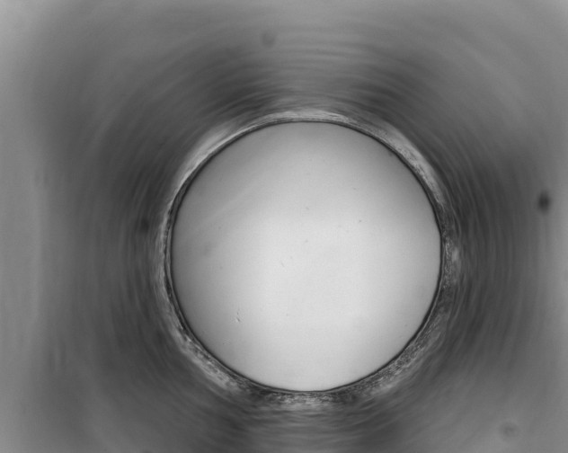 X0000100201002200805300743