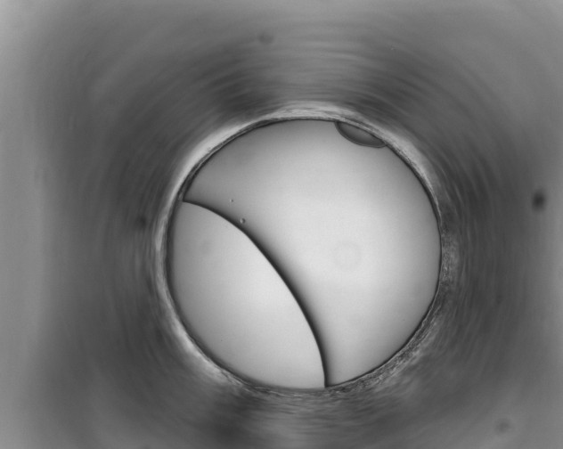 X0000100201003200805300743