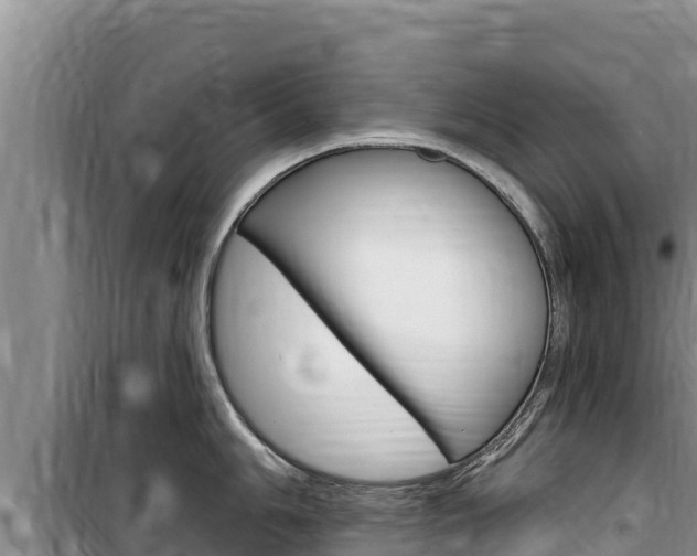 X0000100201006200805300743