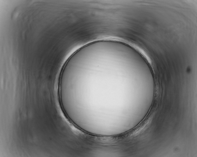 X0000100201007200805300743