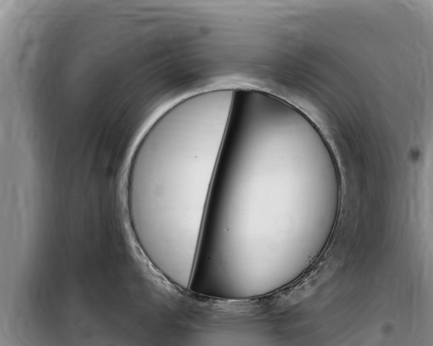 X0000100201008200805300743
