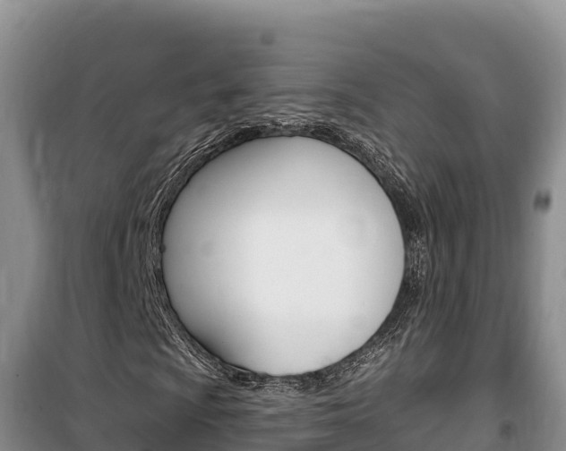 X0000100201009200805300742