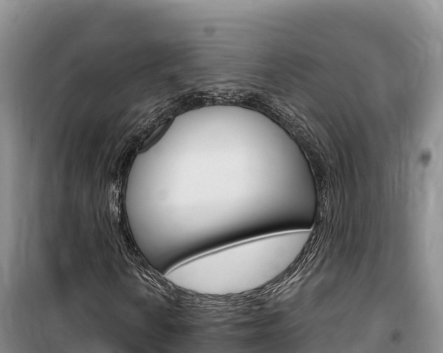 X0000100201010200805300742
