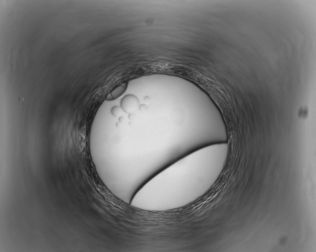 X0000100201011200805300742